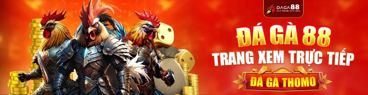 Hình ảnh chính do666 liên kết truy cập chính thức